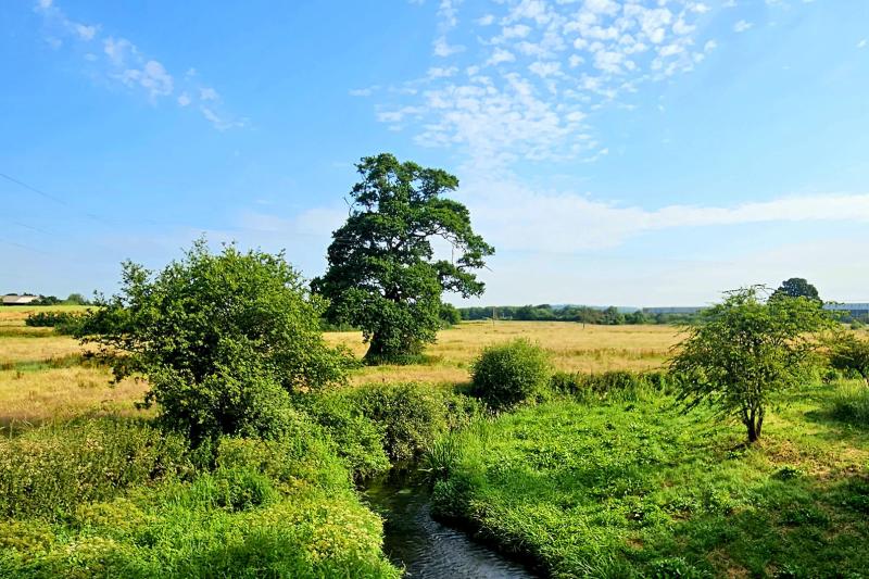 River Restoration At Clyst Honiton | Clyst Valley Regional Park